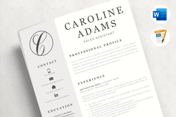 Download Sales Assistant Professional Resume Template with Logotype - Premium Resources